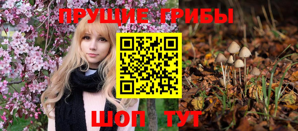 Реутов  Галлюциногенные грибы Psilocybe  Вход с VPN 